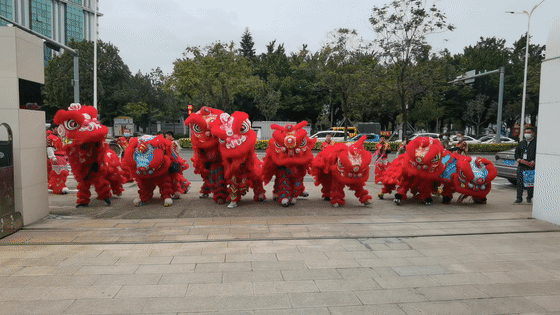 立博ladbrokes醒狮-00.gif