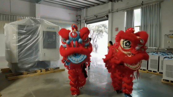 立博ladbrokes醒狮-01.gif
